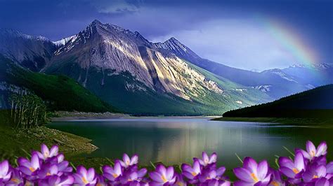 Lake Flowers Wallpapers Top Free Lake Flowers Backgrounds