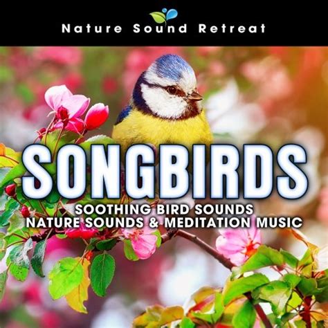 Nature Sound Retreat Songbirds Soothing Bird Sounds Nature Sounds