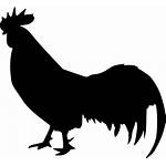 Rooster Cock Animal Icon Svg Chicken Fowl