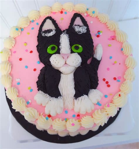 Kitty Cat Cake Birthday Cake For Cat Cat Cake Animal Cakes