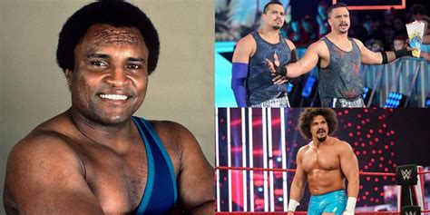 The 10 Best Pro Wrestling Families Ranked Wild News