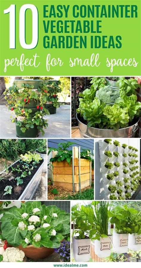10 Easy Container Vegetable Garden Ideas For Your Yard Ideal Me