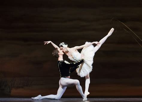 Swan Lake Ballet Feels Like Flying Toronto Guardian