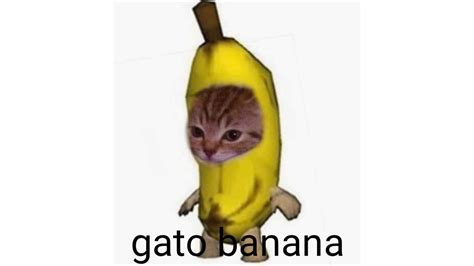 Gato Banana Xd Youtube