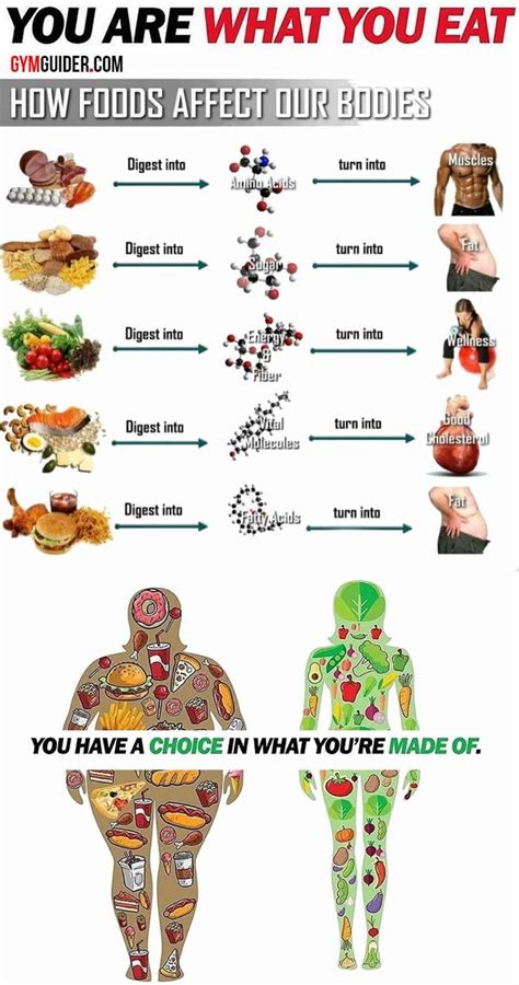 Pin On Diet And Nutrition