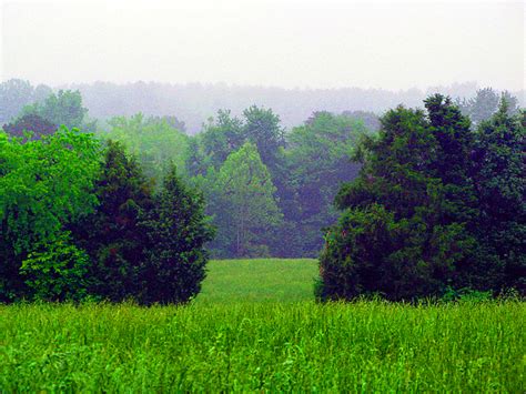 Virginia Country Scene Fields And Woods Greeting Card By Richard Singleton