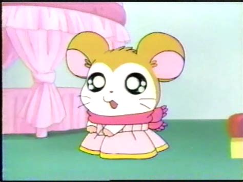 Image Pashmina In Her Dress The Hamtaro Wiki Fandom Powered