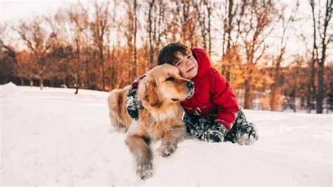 Je Hond Verzorgen In De Winter Dat Doe Je Zo Libelle