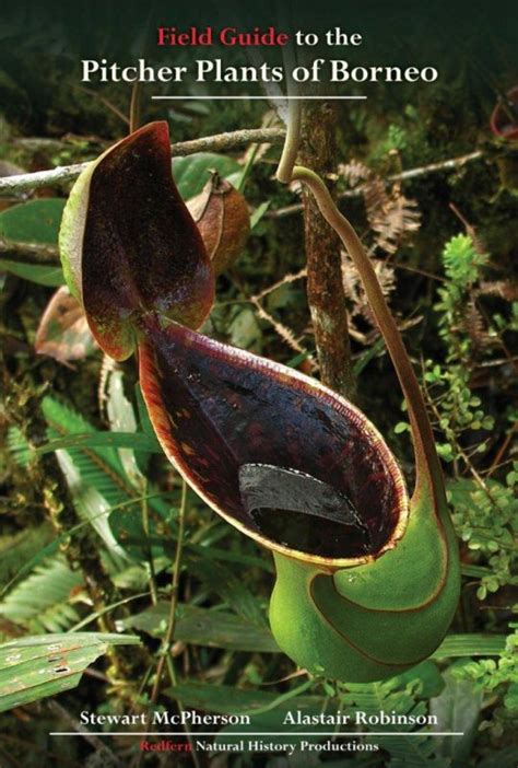 Field Guide To The Pitcher Plants Of Borneo Redfern Natural History