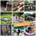 2020 臺北市立動物園半日遊/木柵動物園