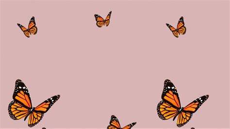 Butterfly Laptop Wallpapers Wallpaper Cave