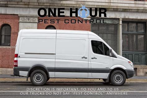 24 hour pest control not every pest infestation is easy to see the light of day. 24 Hour Pest Control Exterminators for your home hand ...