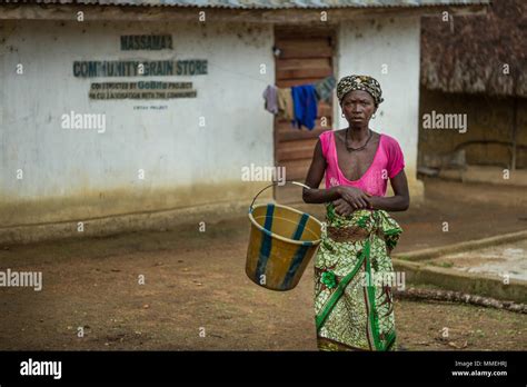 Yongoro Sierra Leone June 06 2013 West Africa Unknown Woman With