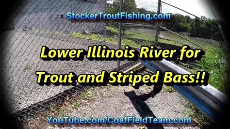 Lower Illinois River Fishing For Trout And Striped Bass Youtube