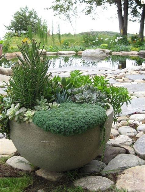 40 Amazing And Easy Outdoor Succulent Garden Ideas For You