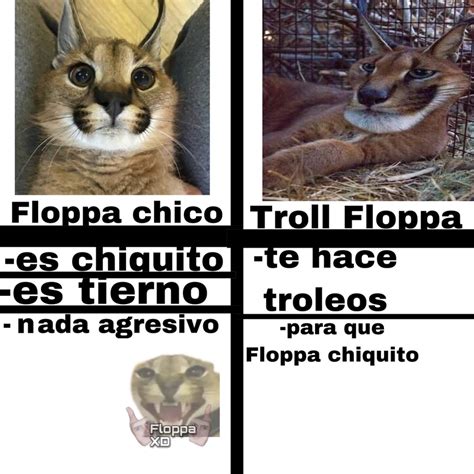 Top Memes De Floppaxd En Español Memedroid