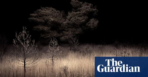 Enchanted Forests British Woods And Moors At Night In Pictures Art