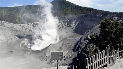 Kepala stasiun geofisika badan meteorologi klimatologi dan geofisika (bmkg) klas 1 bandung, tony agus wijaya mengatakan, banyaknya bangunan di sepanjang jalur sesar lembang ini patut menjadi perhatian semua pihak. Erupsi Tangkuban Parahu, BMKG Pastikan Tak Akan Picu ...