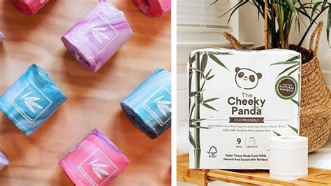 8 Best Eco Friendly Toilet Paper Brands For 2023 Utopia