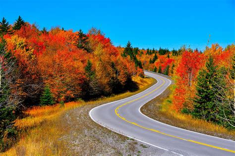 Old Hobart Road In Autumn