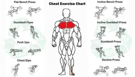 Chest Exercises Workout Chart Chest Workouts Fun Workouts