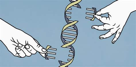 El Código Del Genoma Humano Por Fin Está Completo