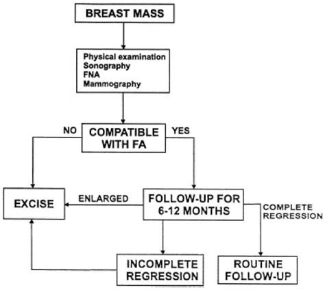 Management Of Breast Fibroadenomas Abstract Europe Pmc