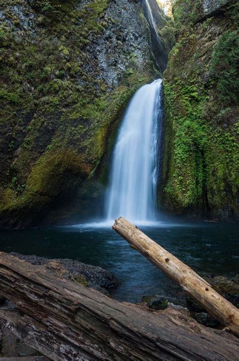 First Signs Of Fall On Wahclella Falls Trail