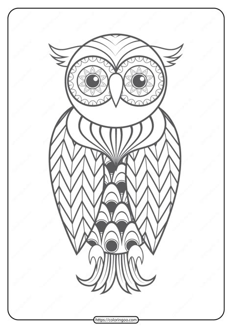 printable owl  animals coloring pages