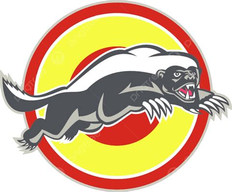 Honey Badger Mascot Leaping Circle Mascot Mellivora Capensis Isolated
