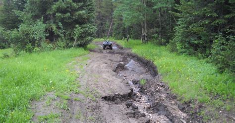 Forest Service roads closed due to mud