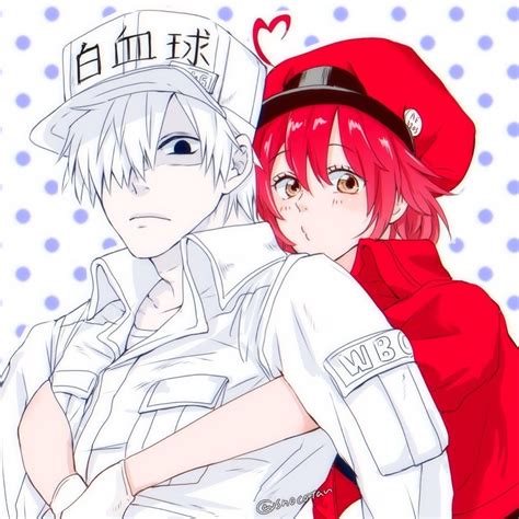 White Blood Cell And Red Blood Cell By Pixiv Id 8334886 Bts Anime