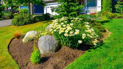 Lawn And Landscape Maintenance Blog Spider Lawn And Landscape