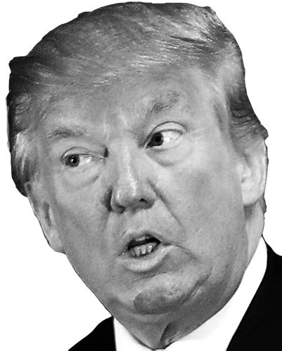 Donald Trump Png Transparent Image Download Size 401x500px