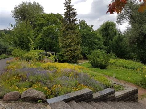 Eigenheim und garten bad vilbel gibt wertvolle anregungen. Botanischer Garten (Frankfurt (Oder)) - Aktuelle 2020 ...