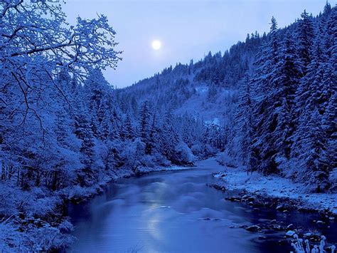 Free Download Gorgeous Snow Scene Wallpaper Perfect Winter Paradise