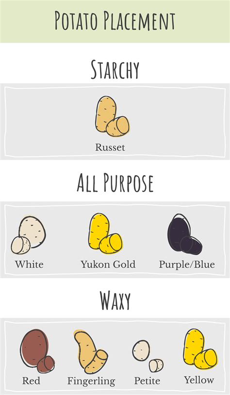 Your Guide To Different Potato Types And Uses