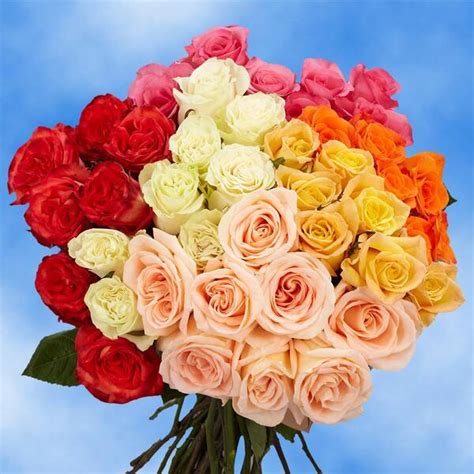 Globalrose 50 Assorted Roses Fresh Flower Delivery 2 Colors 50
