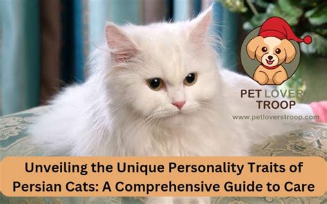 Unveiling The Unique Personality Traits Of Persian Cats A