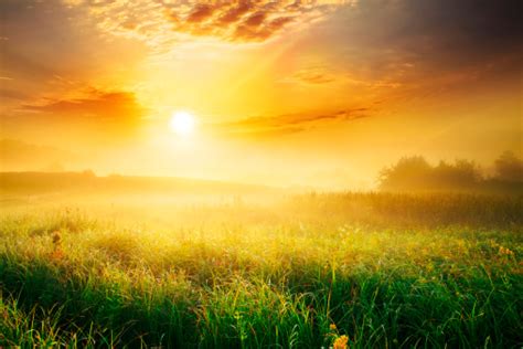Colorful And Foggy Sunrise Over Grassy Meadow Landscape Stock Photo