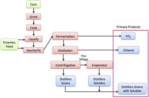 Ethanol Fermentation Process