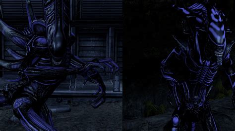 Midnight Xenomorphs Addon Aliens Vs Predator 2010 Moddb