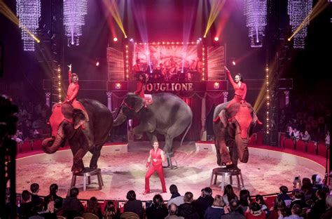 Paris La Fin Des Animaux Sauvages Dans Les Cirques En Novembre