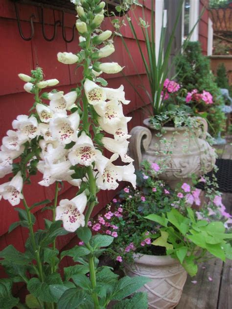 Cottage Garden Designs We Love Hgtv