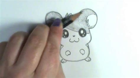 How to draw a husky easy? How to draw Hamtaro - YouTube