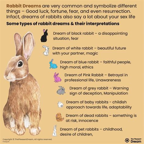 Dreaming Of Rabbits 59 Types And Its Interpretation Dream Of Bunny