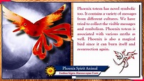 Phoenix Spirit Animal: Totem, Meaning, Messages and Symbolism | ZSH