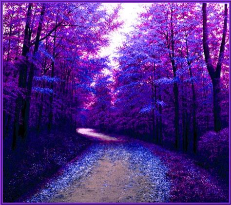 Purple Nature Wallpapers 4k Hd Purple Nature Backgrounds On Wallpaperbat