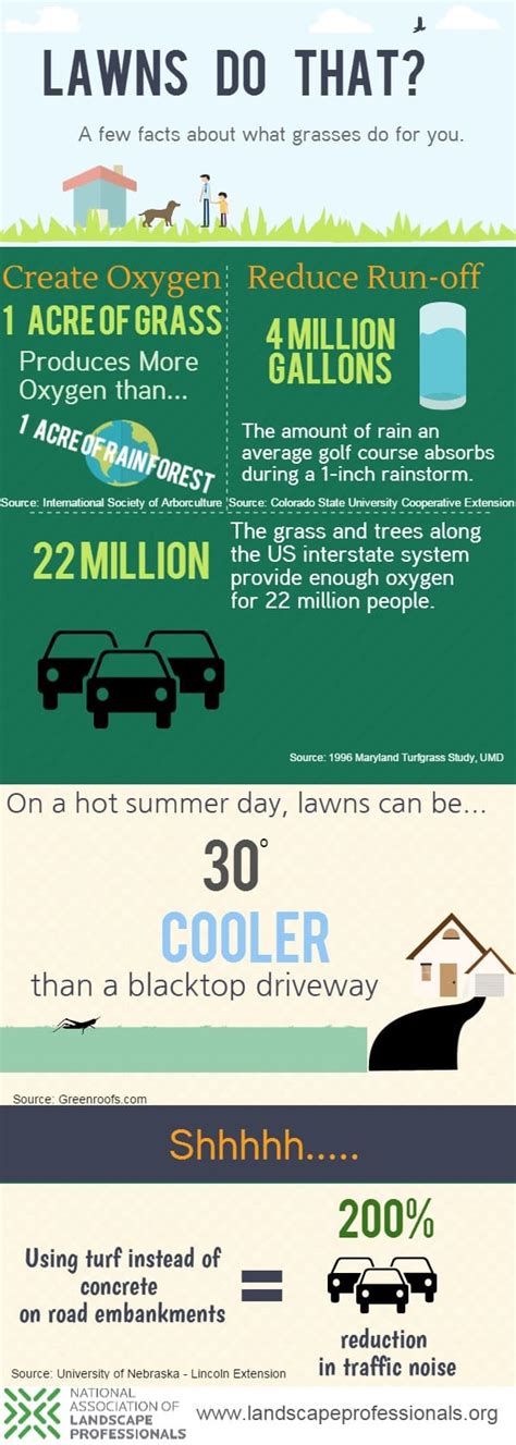 D & d pest control co. MORE FOR NATIONAL LAWN CARE MONTH: WHAT LAWNS DO FOR US ...