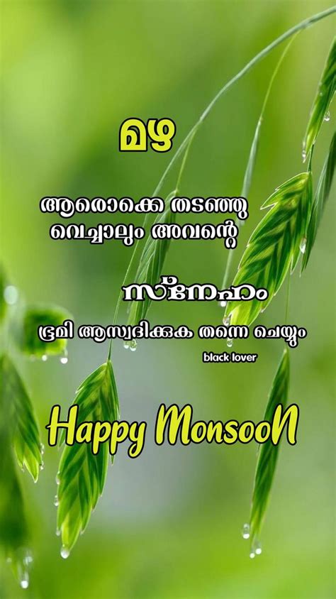 🌦 monsoon wishes 💐 images ʙしaඋĸ し v㉫r 🦋 achuz on sharechat